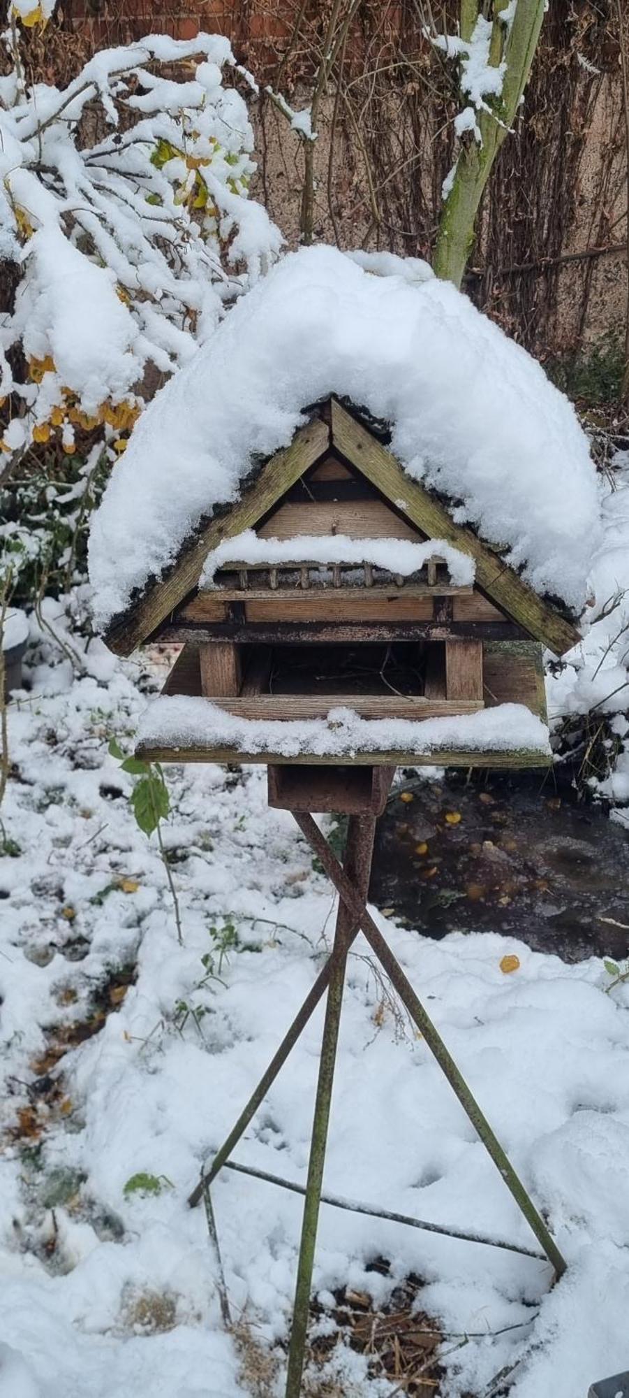 Hausbreitenbach Bauernhof Privatzimmer Hortus Sandrine Gemeinschaftsbad Free Wifi חדר תמונה