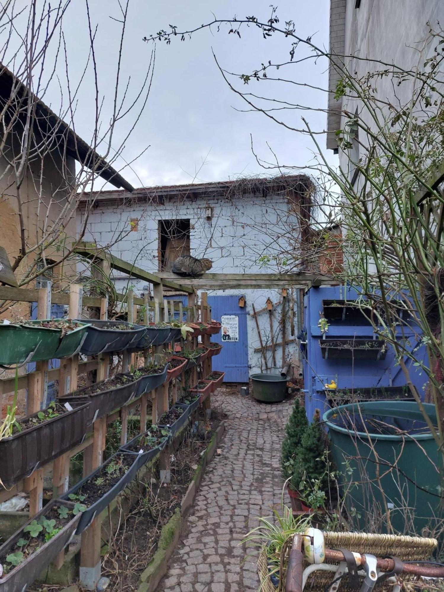 Hausbreitenbach Bauernhof Privatzimmer Hortus Sandrine Gemeinschaftsbad Free Wifi מראה חיצוני תמונה