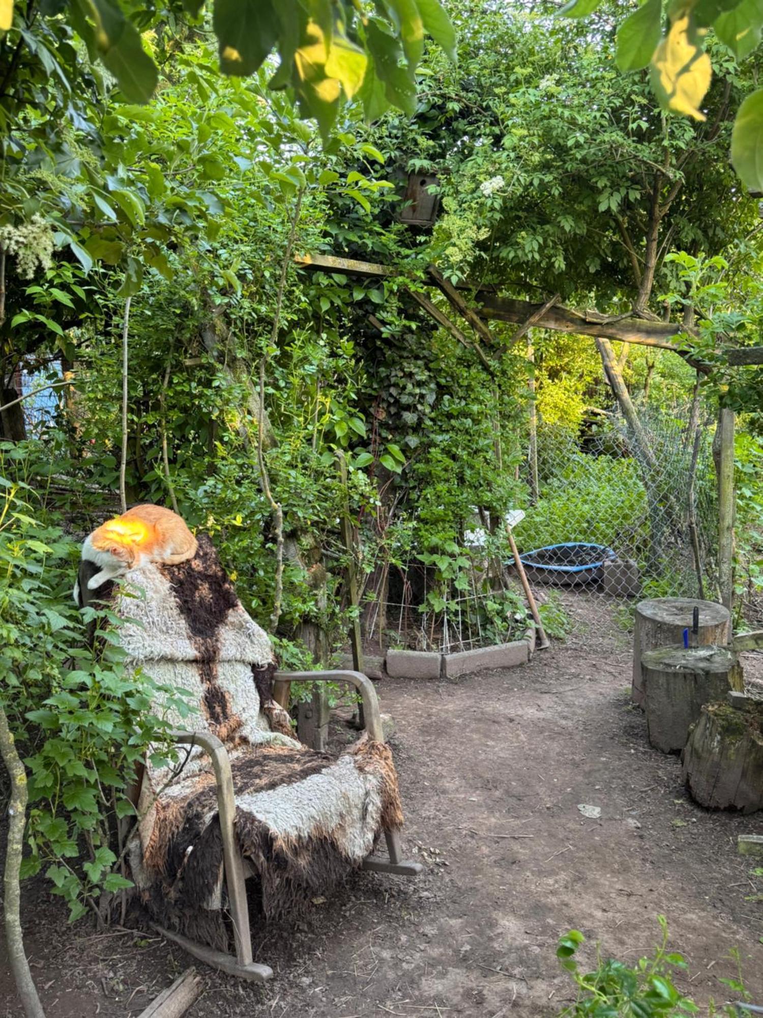 Hausbreitenbach Bauernhof Privatzimmer Hortus Sandrine Gemeinschaftsbad Free Wifi מראה חיצוני תמונה